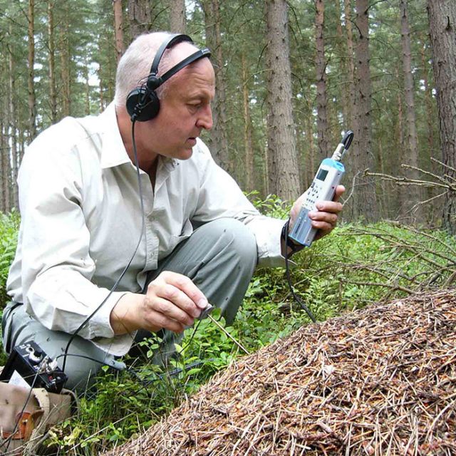 Prise de son Nagra Aufnahme ARES P Termiten Insekten Geräusch Feld