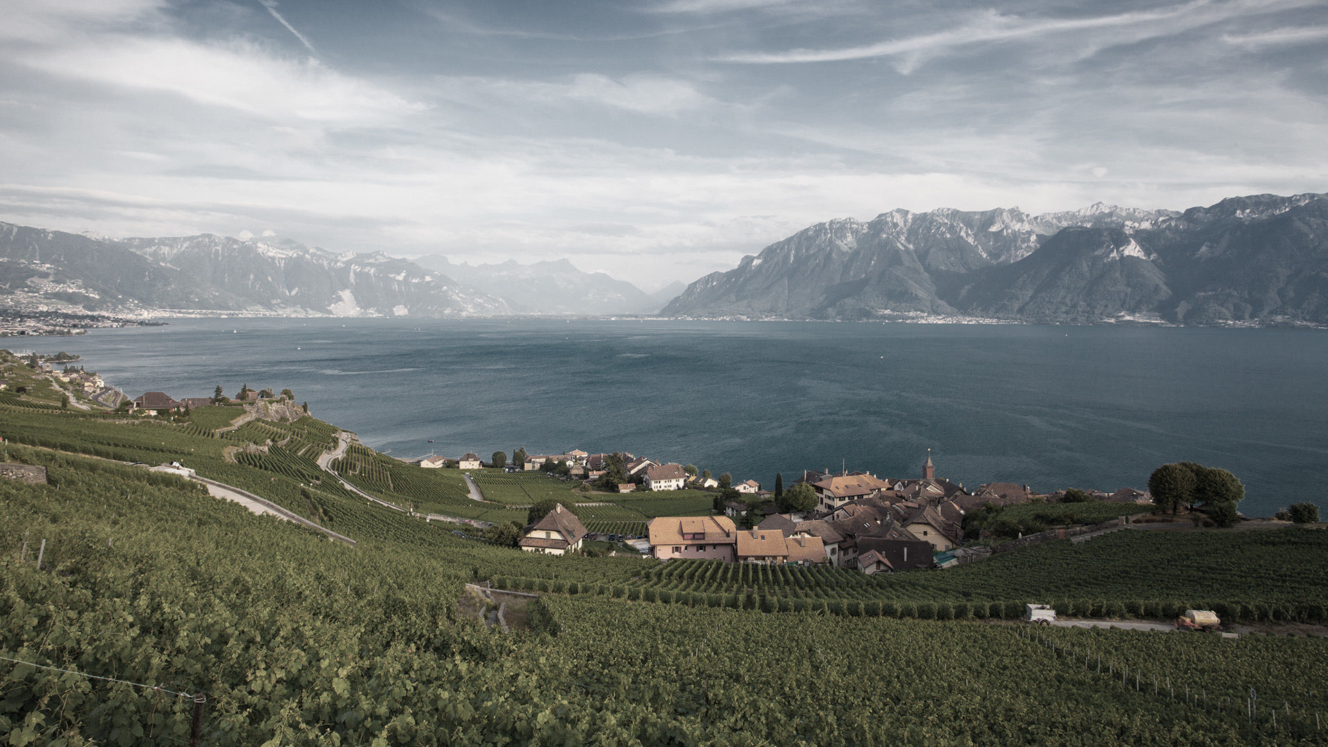 Schweizer Handwerkskunst Blick auf Genfer See Léman Alpen schöne Landschaft Lac alpes Weinberg vignes lavaux