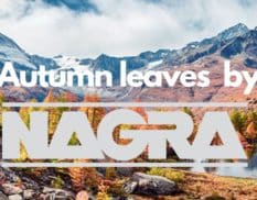 Autumn leaves by Nagra blog