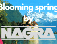 Blooming spring by Nagra 800x360